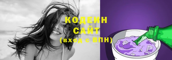 мдпв Осташков