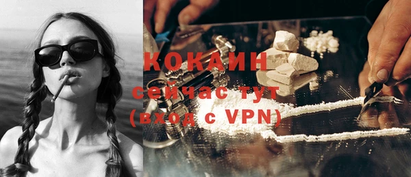 мдпв Осташков