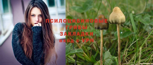 прущий лед Пестово