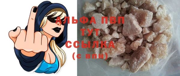 мдпв Осташков