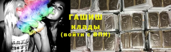 мдпв Осташков