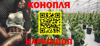 крисы Апшеронск