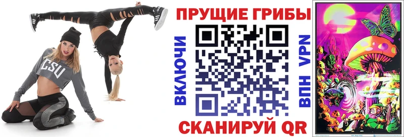 Псилоцибиновые грибы мицелий  Асино 