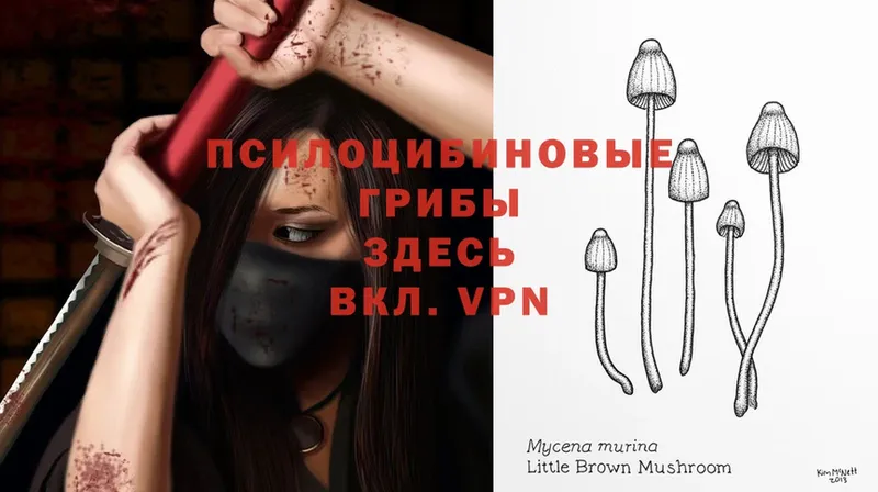 Галлюциногенные грибы MAGIC MUSHROOMS  Асино 