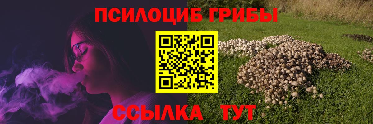 Галлюциногенные грибы прущие грибы  купить  сайты  Асино 