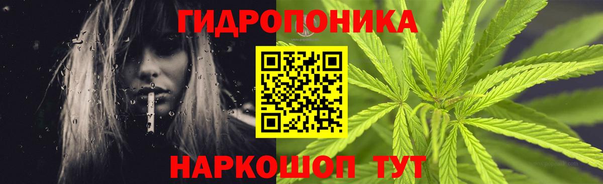 Марихуана план Асино